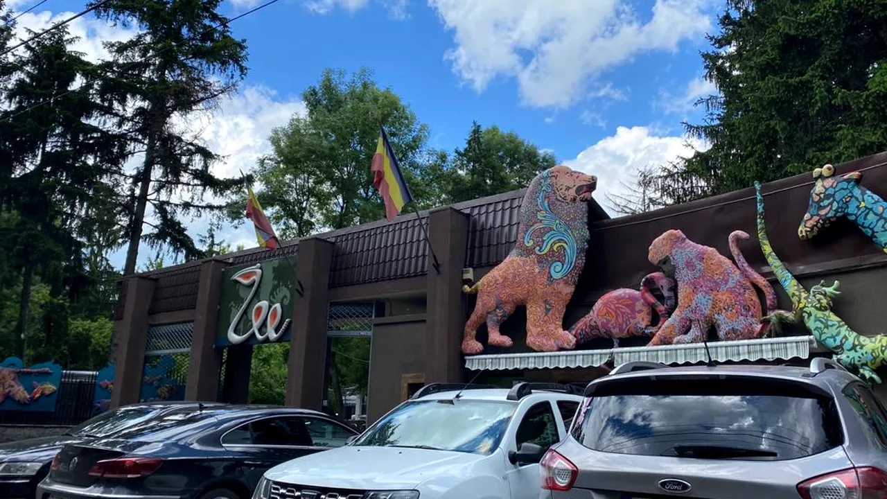 Haosul domnește la Primăria Capitalei. Sau, Nicușor Dan? E același lucru!