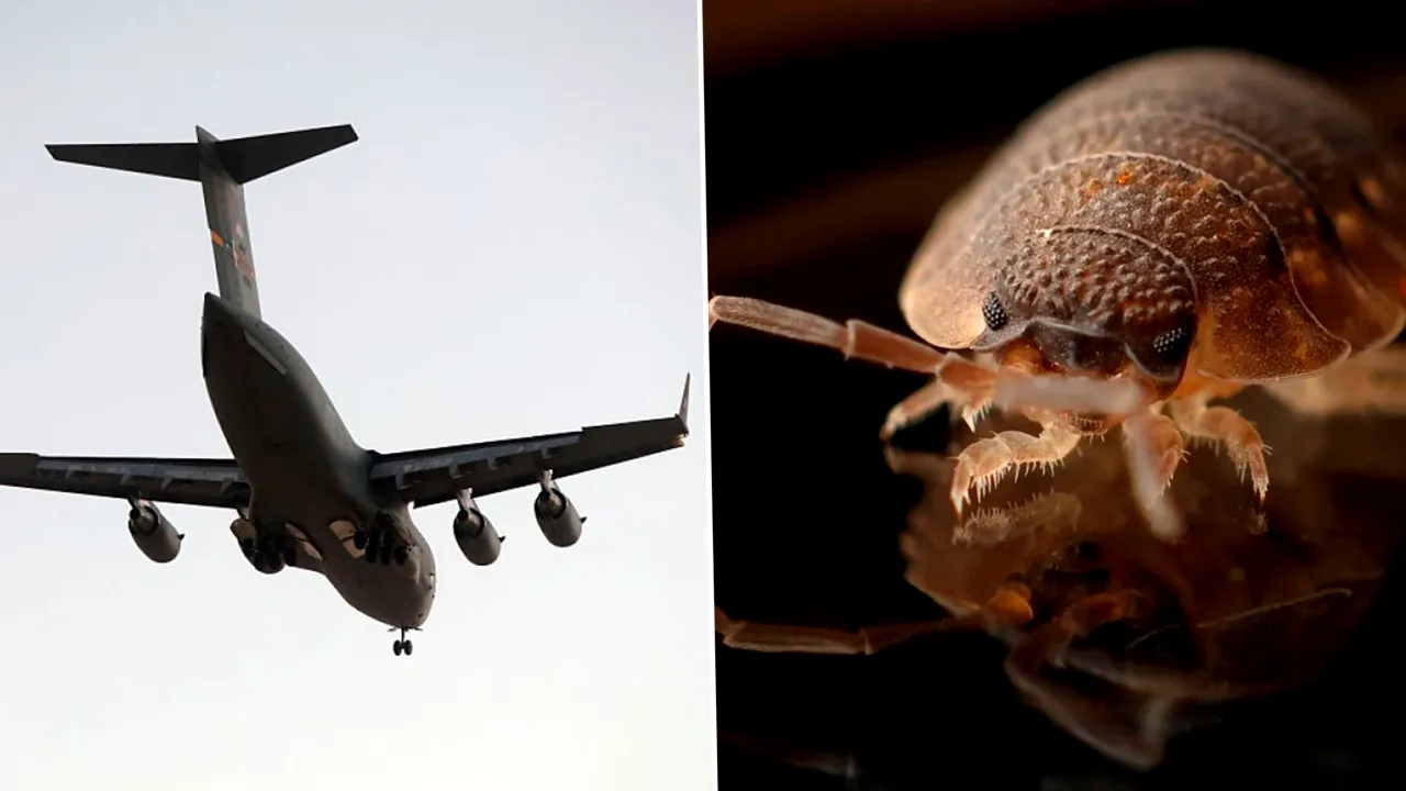 Un avion a fost retras temporar după ce pasagerii de la clasa economică au reclamat că au fost mușcați de ploșnițe