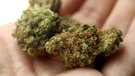 Ce este HHC, drogul vândut în dispozitivele de VAPAT și DULCIURI. De ce nu se regăsește pe lista substanțelor interzise în România