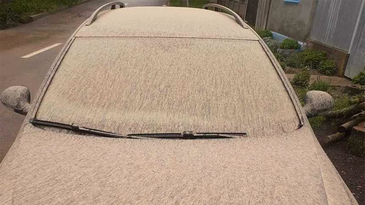 Ce se întâmplă, de fapt, dacă inhalezi praf saharian. AVERTISMENTUL doctorului Traian Mihăescu