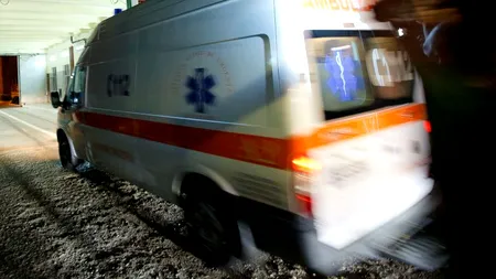 Două persoane din Covasna au ajuns la spital după ce au fost atacate de urși