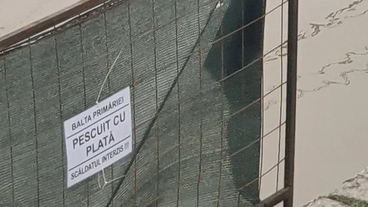 Umorul nostru cel de toate zilele | Afișe cu mesaje ironice lipite pe un șantier din Focșani: Balta primăriei...