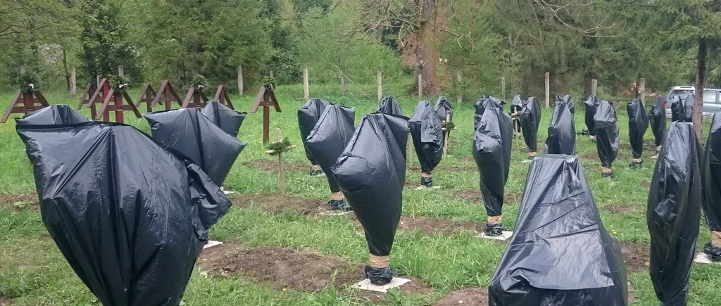 Interzicerea accesului în Cimitirul Valea Uzului, subiect de dispută româno-maghiară, atacată