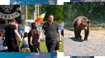Revolta unui primar din Argeș, după decesul motociclistului omorât de urs/”Ceea ce s-a întâmplat este rezultatul nepăsării instituționale”