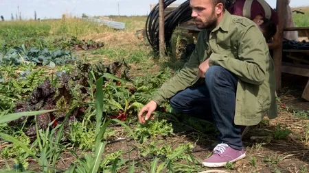 Cum arată o fermă BIO. Drumul legumelor cu gust care ajung la ușa românilor dispuși să plătească și până la de trei ori mai mult