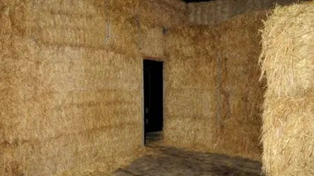 Descoperirea de 1 milion de lire făcută de poliția britanică sub o căpiță de fân