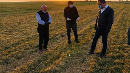 DEZASTRU alimentar aşteptat în estul României. Imagini cu câmpurile pârjolite de seceta extremă