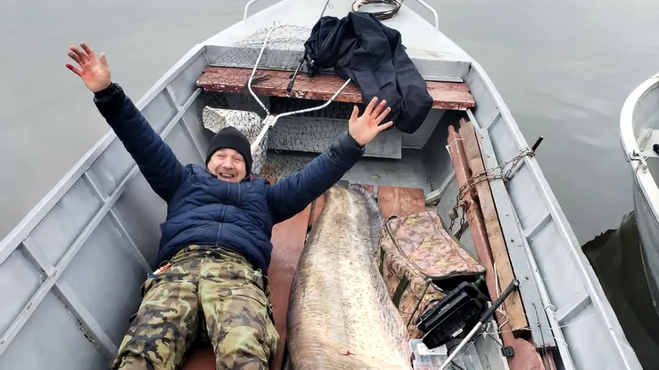 Captura anului pe Dunăre. Un bănățean a 