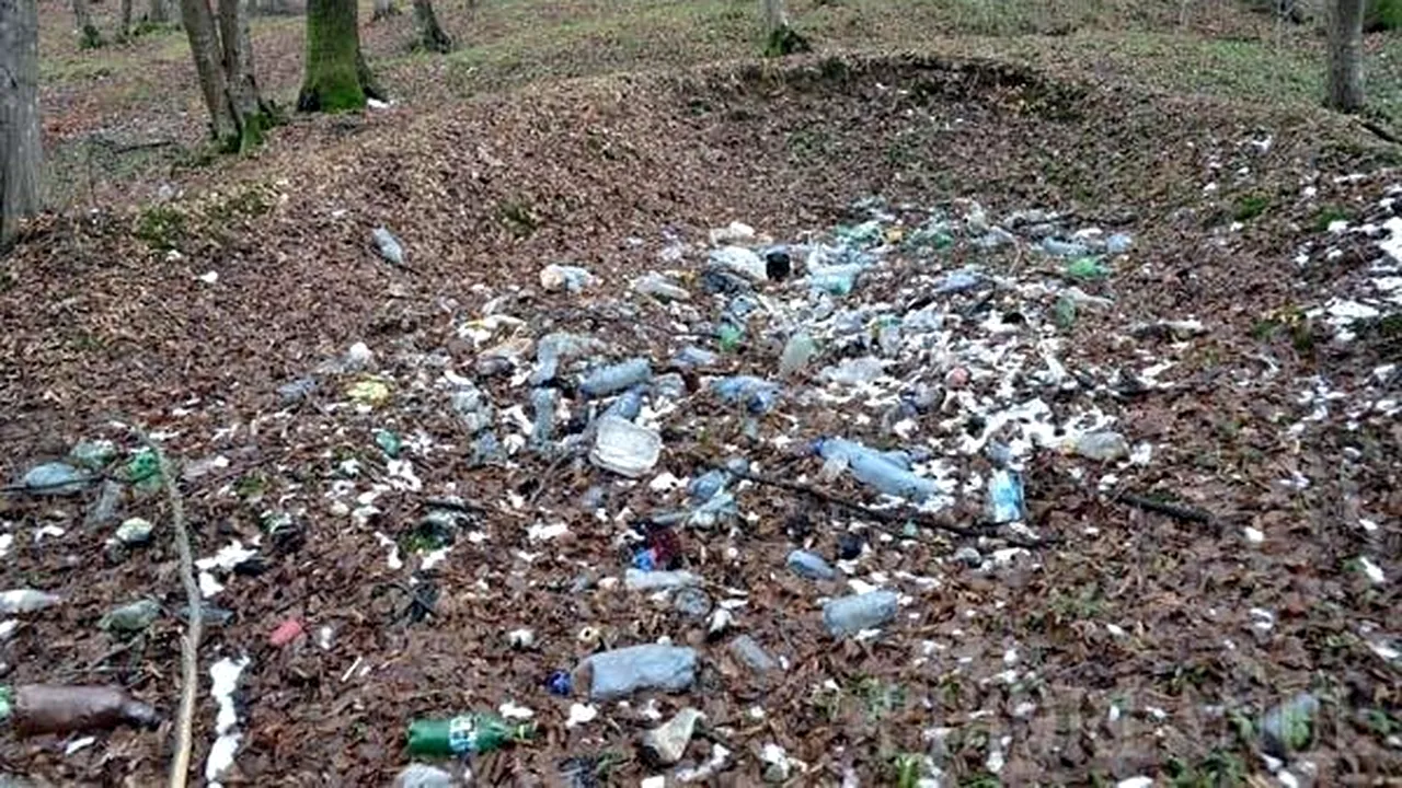 Ce a pățit un bărbat din Slatina, după ce A ARUNCAT saci cu gunoi într-o pădure