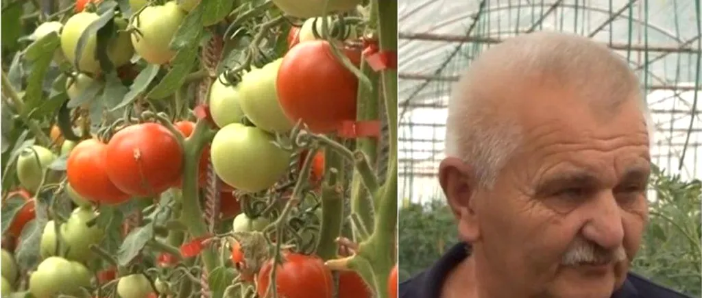 Povestea românului care crește legume BIO și le vinde cu 60% mai ieftine decât în magazine: „Pământul nu a văzut de vreo 30 de ani chimicale”