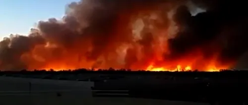 Peste 300 de case, amenințate de un incendiu în California