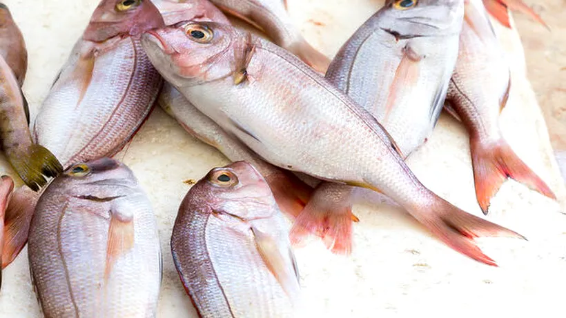 Alertă alimentară! Pește cu metale grele, din import, descoperit în magazine | Șeful ANPC: Ar trebui ridicări încă de la frontieră