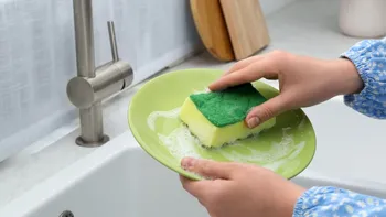 Truc genial pentru curățarea vaselor. Ingredientul natural care ți-ar putea ușura munca