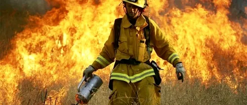 Mii de pompieri depun eforturi pentru stingerea incendiilor de vegetație în California și Nevada