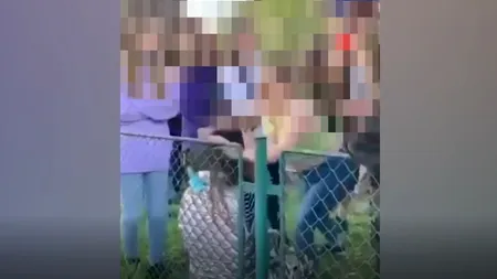 Minoră din Brașov, bătută și batjocorită de două fete în timp ce mai mulți adolescenți aplaudă. Polițiștii au deschis dosar penal - VIDEO
