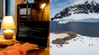 După 30 de ani la HP, May Lee a fost concediată și s-a mutat în Antarctica. La 59 de ani, fosta IT-istă conduce un motostivuitor în depozit