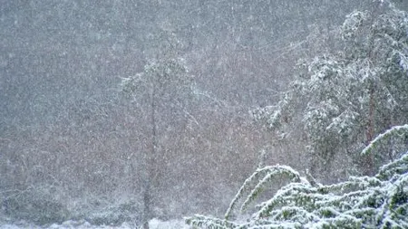 ANM, prognoză specială pentru București: Va ninge până miercuri dimineață