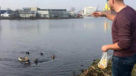 Acest olandez le dă o lecție tuturor celor care se plâng de ce văd în țara lor. „Nu durează decât 30 de minute și chiar se vede diferența