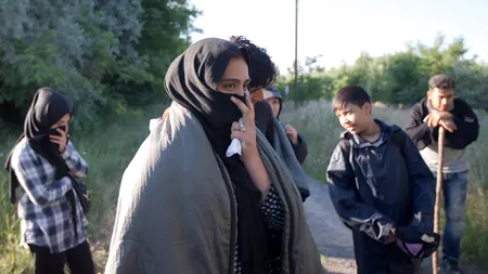 Adevăratul motiv pentru care Germania acceptă atât de mulți imigranți