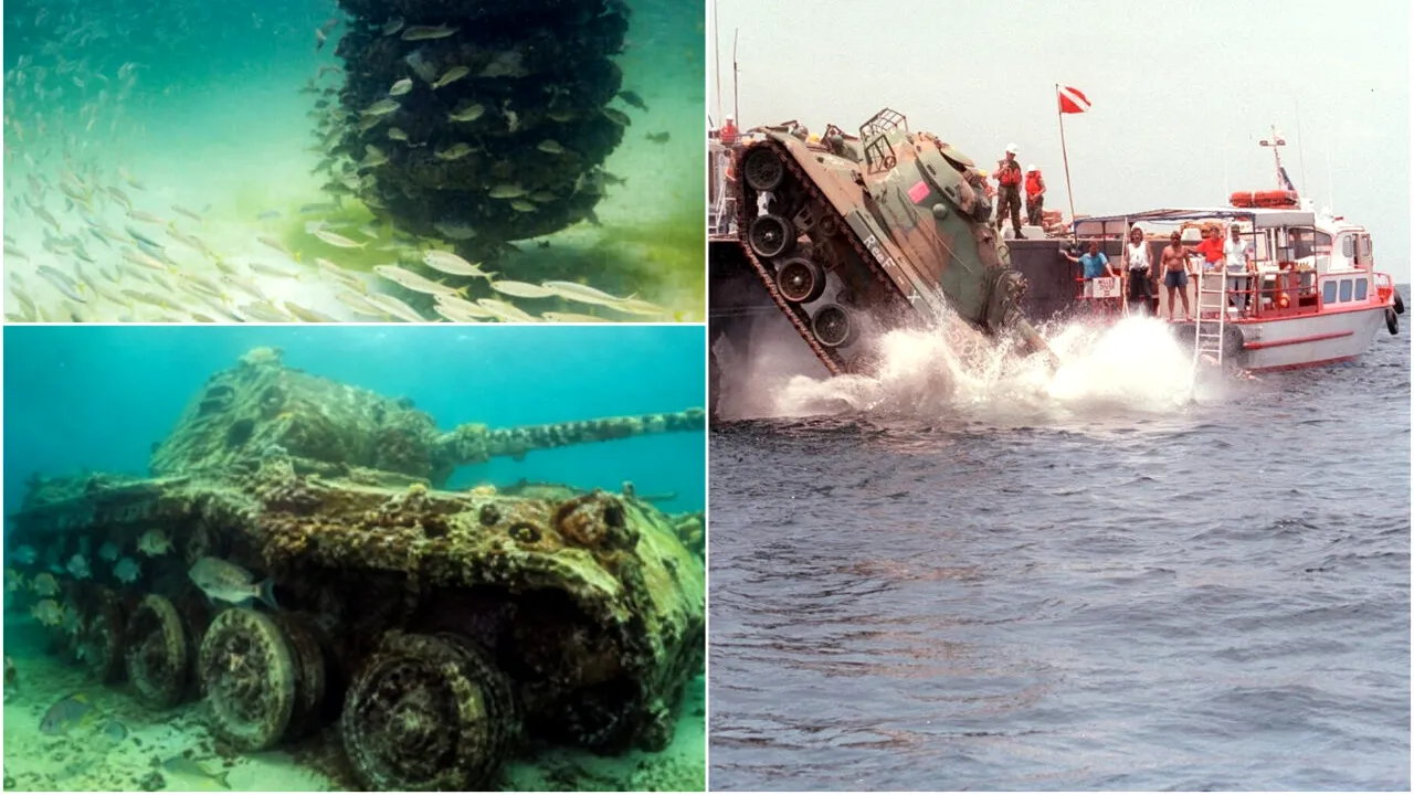 În 1994, Alabama a scufundat 100 de tancuri M60 în Golful Mexic. Ce s-a întâmplat cu mașinăriile de război, după zeci de ani