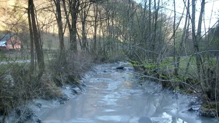 Poluare în Munții Apuseni: 6.000 de metri cubi de steril, deversate accidental în râul Arieș