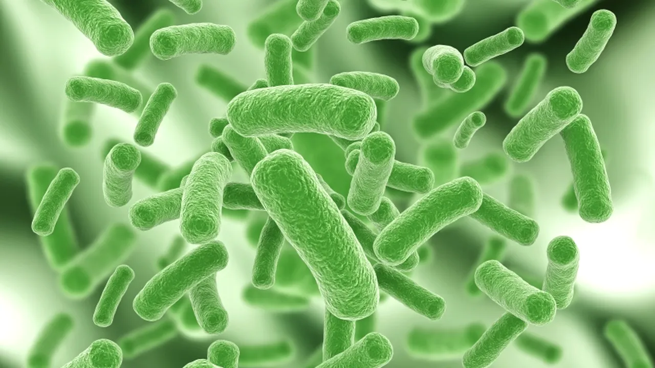 Orașul în care a fost inaugurată prima 