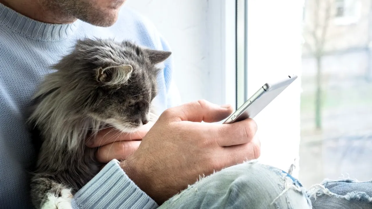 ANCOM: Tarifele pentru roaming, apeluri și SMS-ul rămân la fel în și cu Marea Britanie, după ieșirea din UE, cel puțin până la sfârșitul anului