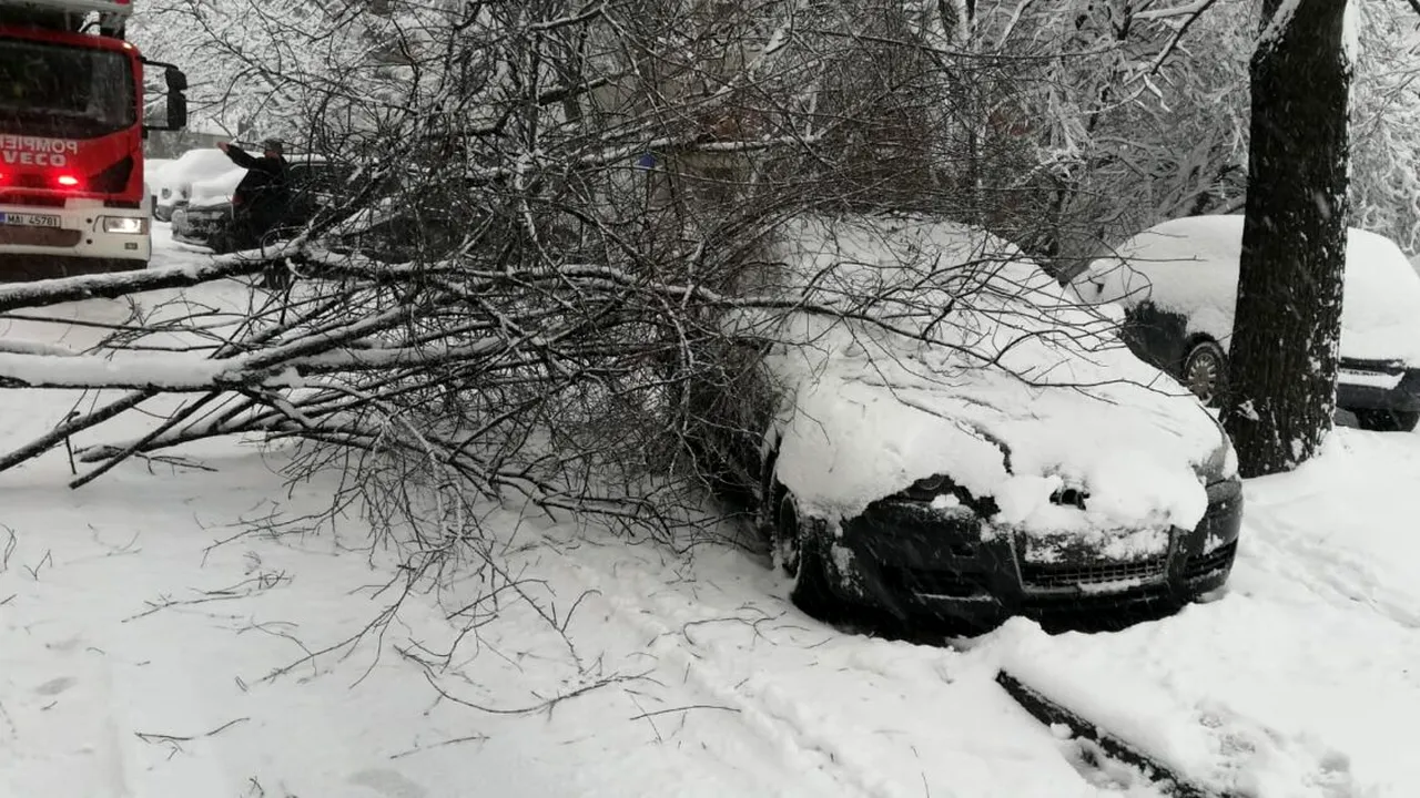 Aproape 20 de mașini au fost avariate în București și Ilfov, după ce zeci de copaci și stâlpi au fost doborâți de vântul puternic