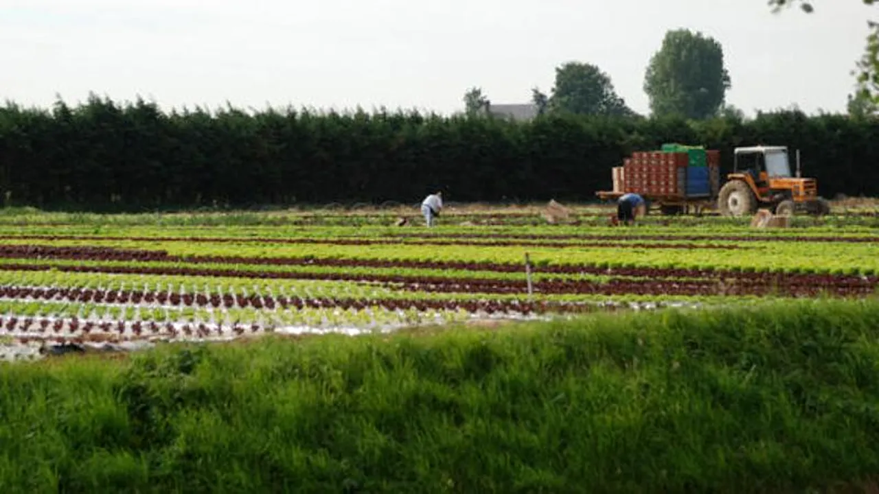 Un român care se declară victima abuzurilor angajatorului a intrat în GREVA FOAMEI