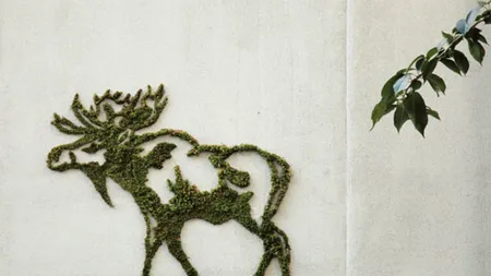 Cel mai ingenios mod de a decora pereții exteriori ai unei case. GALERIE FOTO