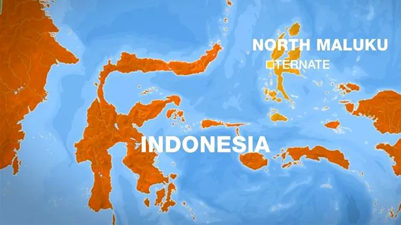 Un cutremur de suprafață, cu magnitudinea de 7,3 grade, s-a produs în Insulele Moluccas din Indonezia