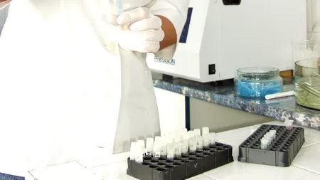 Șapte cazuri de boala Lyme, confirmate în România