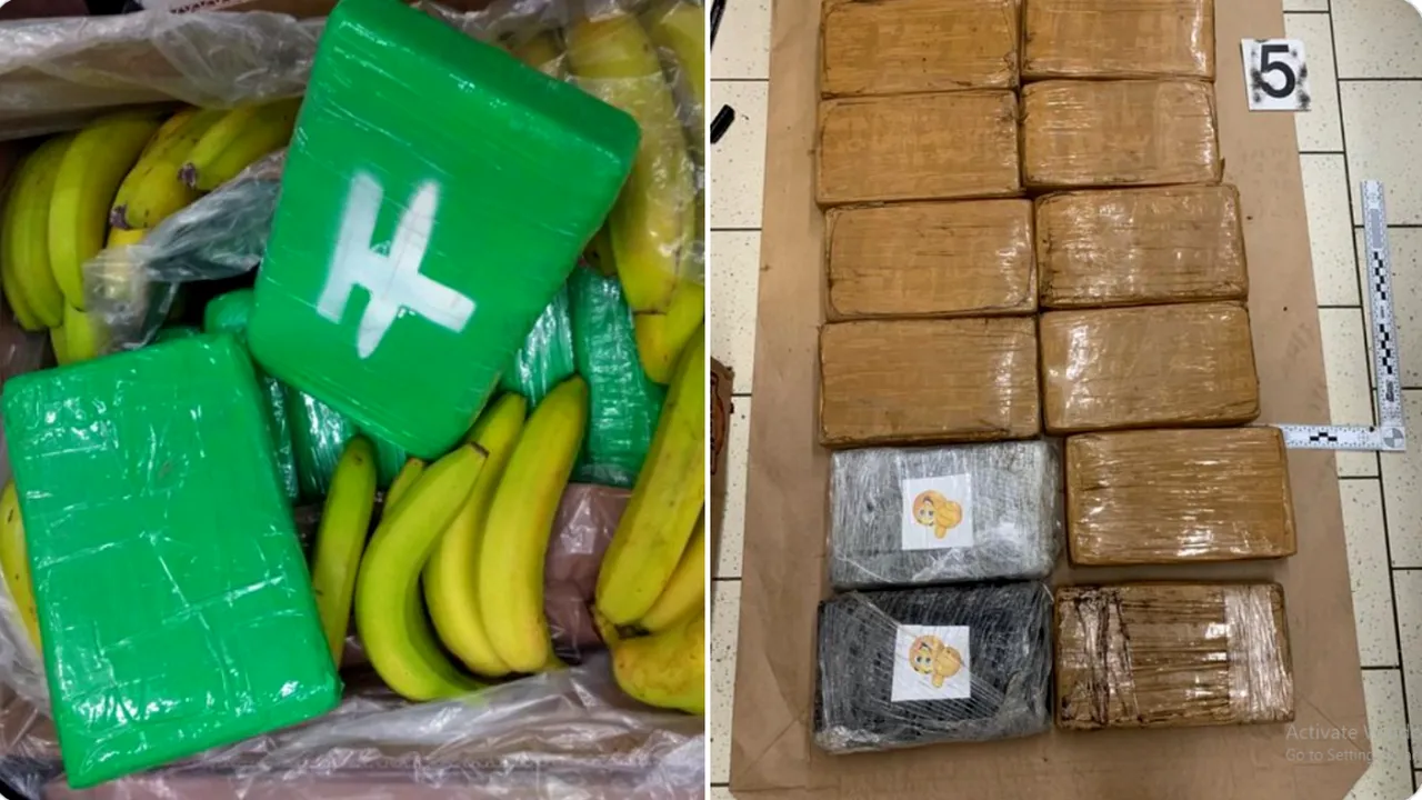 Poliția din Cehia a confiscat 840 de kilograme de cocaină ascunsă în cutii cu banane