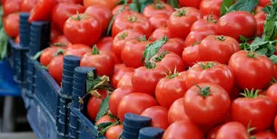 Țara în care un kilogram de ROȘII costă mai mult decât un litru de benzină. Ce a dus la această situație