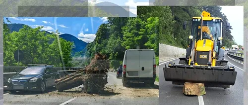 Risc MAJOR de accidente pe Valea Oltului: bolovani și buturugi pe carosabil, în urma defrișărilor pe Secțiunea 2 Boița - Cornetu