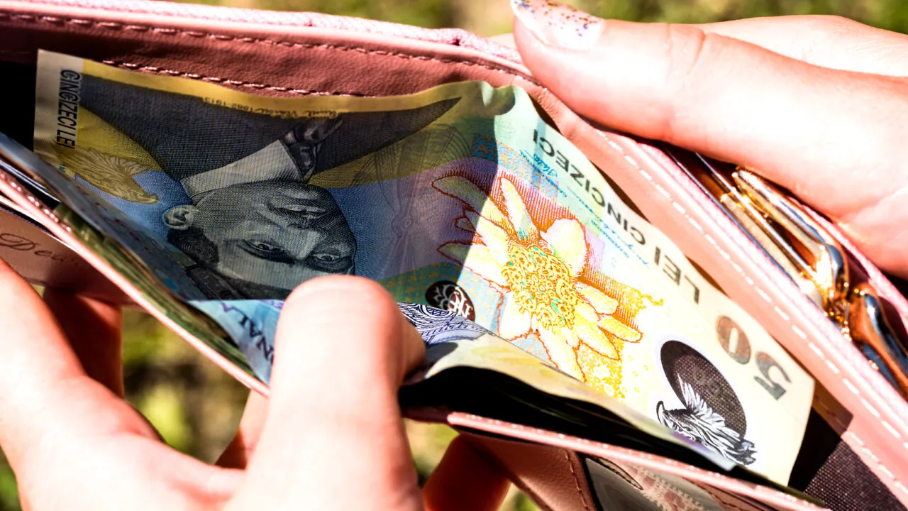 Două tipuri de ajutoare de la Guvern DISPAR de la 1 ianuarie. Care sunt românii vizați