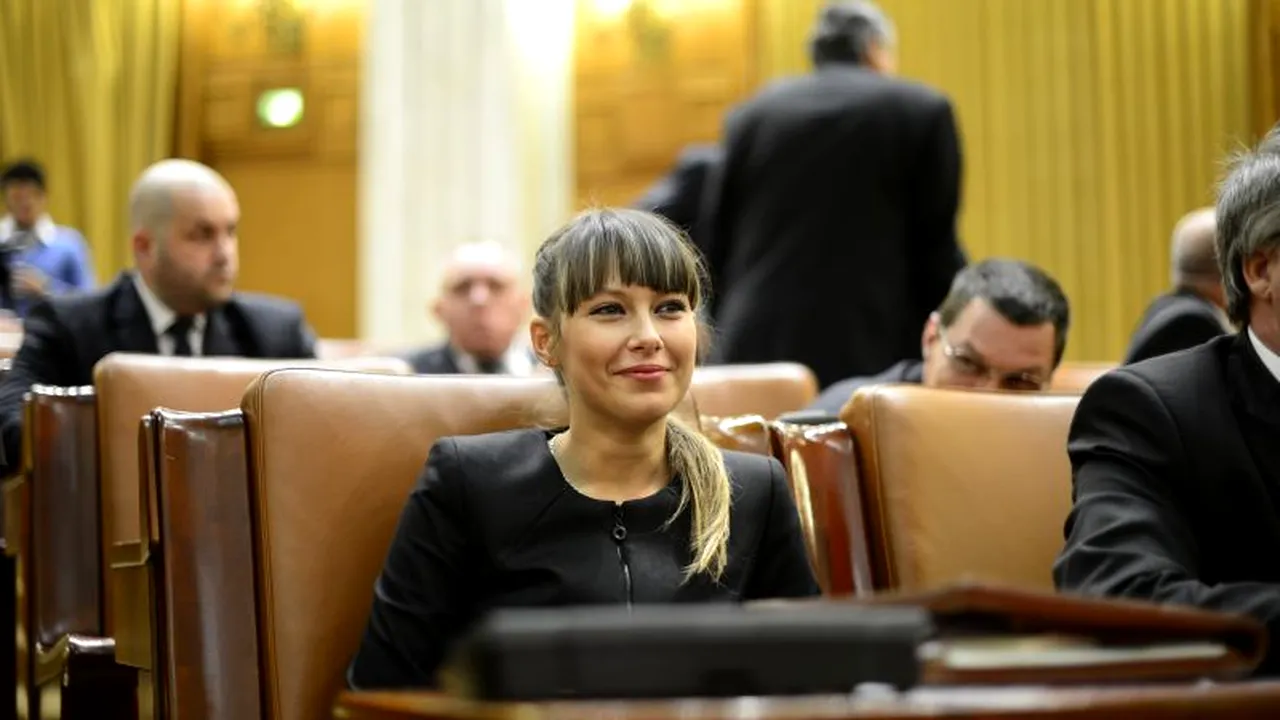 Ce are deputatul 317 și nu au ceilalți parlamentari. „E o confuzie în termeni. Nu cred că Boureanu sau alți domni au fost acuzați de așa ceva