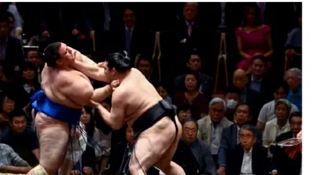 CORONAVIRUS. Un luptător de sumo a murit la doar 28 de ani, din cauza unor complicații legate de Covid-19