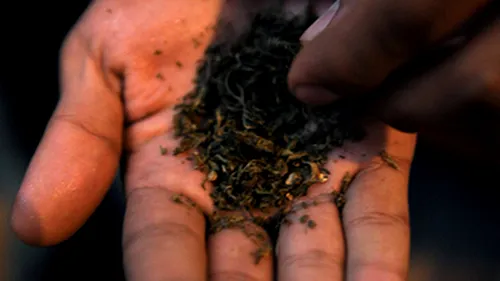 A apărut o țigară LETALĂ din etnobotanice. Avertismentul unuia dintre cei mai cunoscuți doctori din România