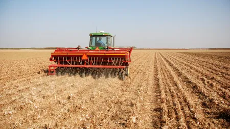 POLITICĂ. PNL dă atacul la Diaspora. Românii care lucrează în fermele din Occident, ademeniți cu salarii de 3000 de lei!