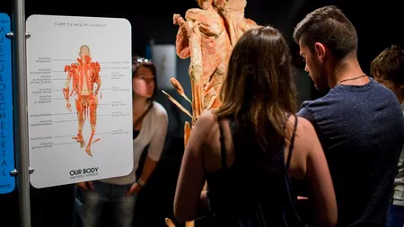 Plângere penală împotriva expoziției de corpuri umane 