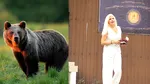 Elena Udrea și familia ei, salvați de un EROU neașteptat când un urs a dat buzna peste cabana în care erau cazați / „Este cel mai puternic și curajos”