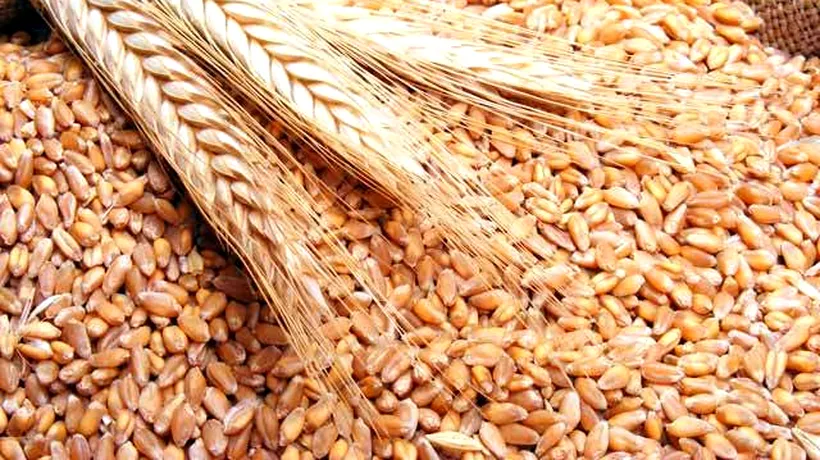 Un milion de tone de grâu importate de Iran. Planul este de achiziție a trei milioane de tone până în vara lui 2020