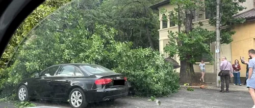 FOTO | Efectele codului galben de VÂNT puternic din Capitală: O persoană rănită, copaci doborâți de rafalele puternice și mașini distruse (UPDATE)