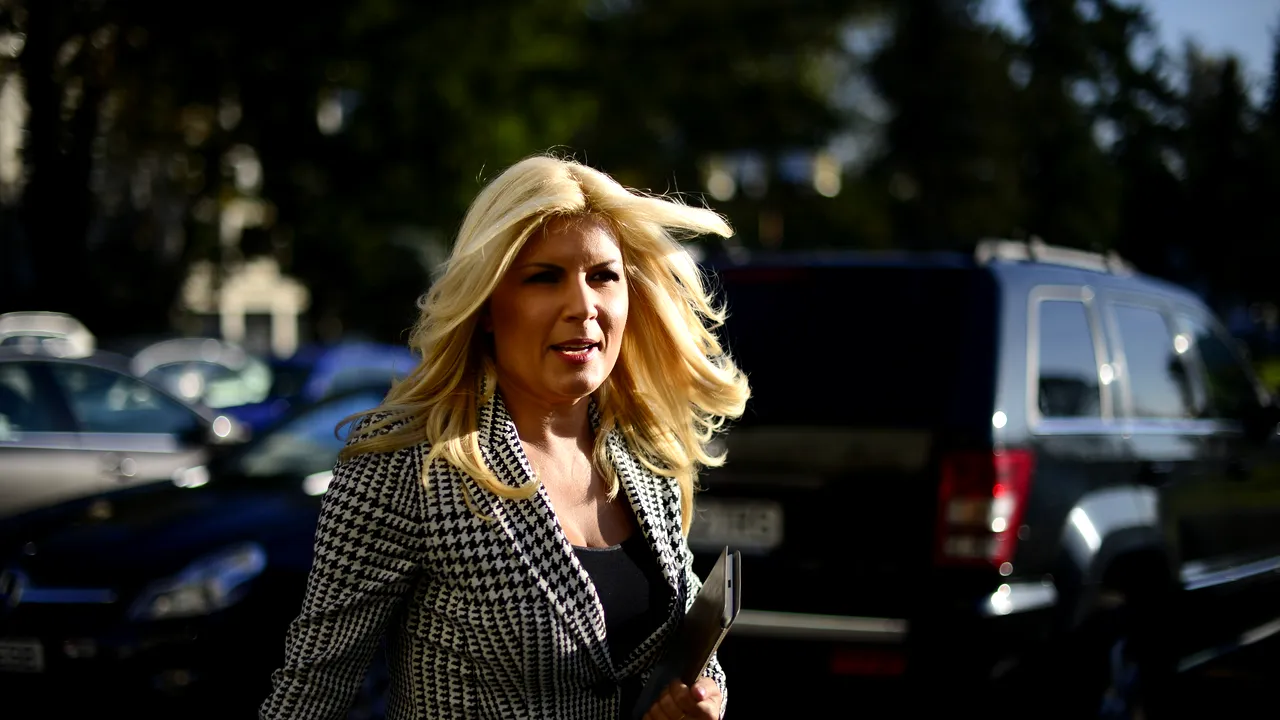 Elena Udrea susține că PMP este 