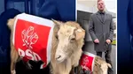 Un deputat AUR a ieșit la protest cu o capră îmbrăcată în sigla PSD: „Au dat foc la țară”