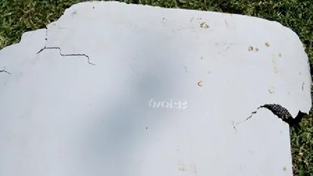 Fragmente de fuselaj care ar putea aparține zborului malaysian, găsite în Mozambic încă din luna decembrie