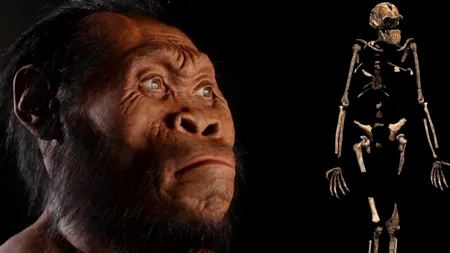 Descoperire de proporții în Africa. Ce secrete ascunde Homo naledi, unul din strămoșii omului