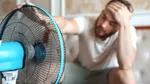 De ce căldura extremă îi face pe oameni mai irascibili. Cum reacționează creierul nostru la valurile de căldură