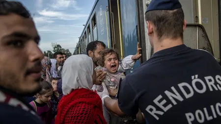 CRIZA REFUGIAȚILOR. România desfășoară exerciții la granița cu Serbia și suplimentează trupele MAI în zonă